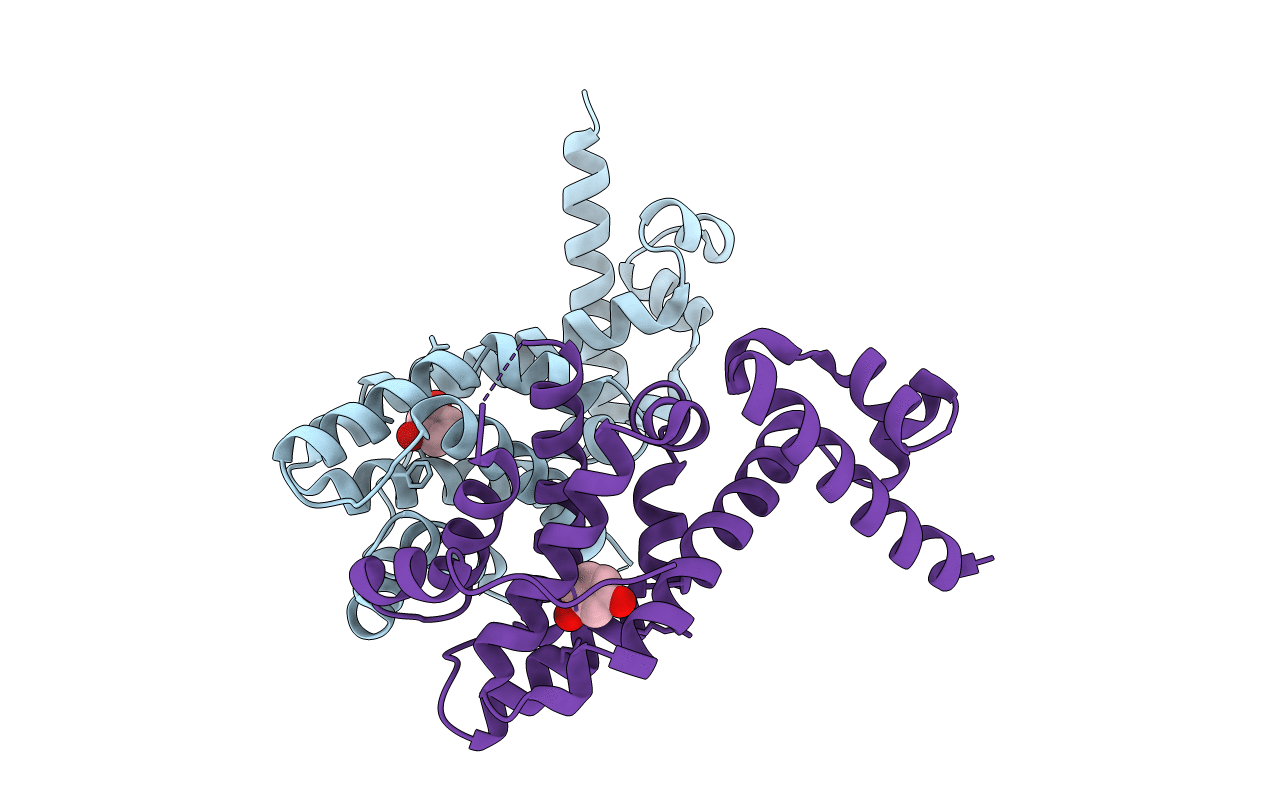 3AQT image