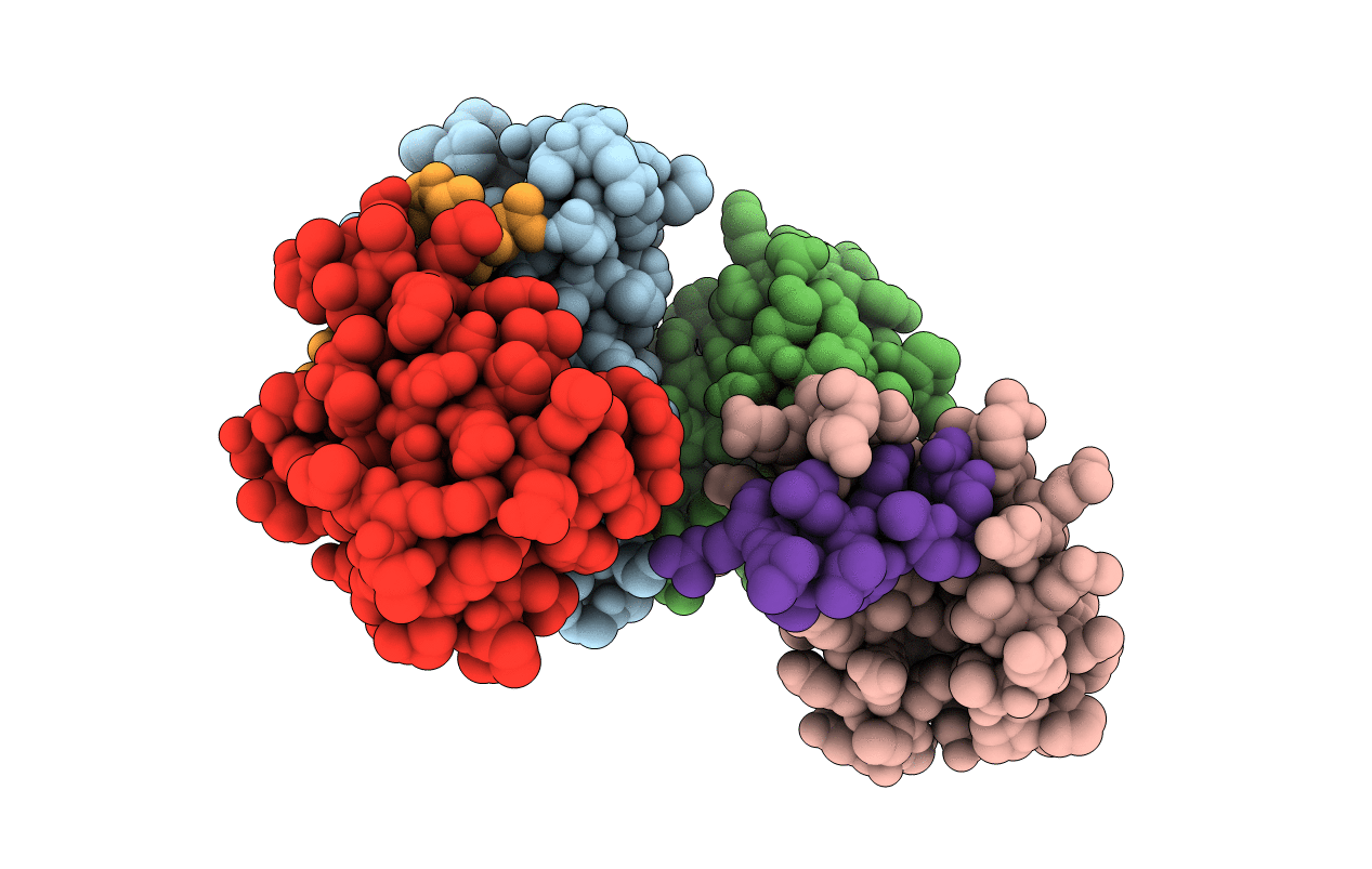 3AX2 image