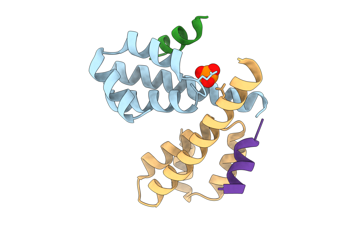 3AX5 image