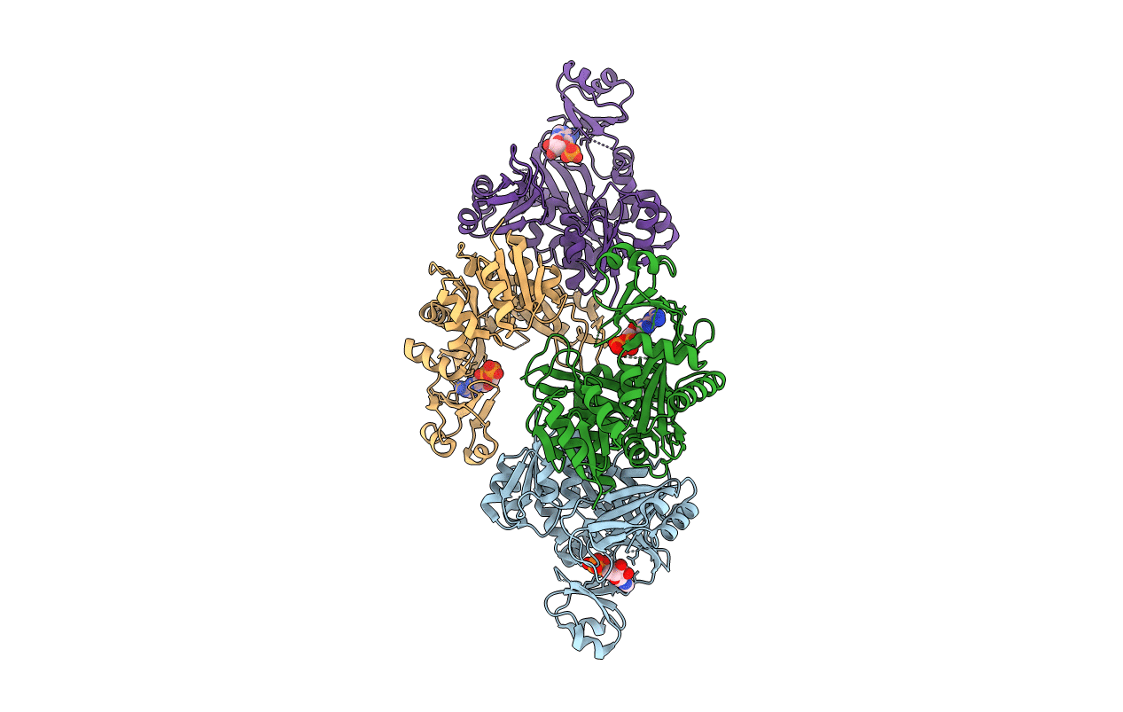 3AX6 image