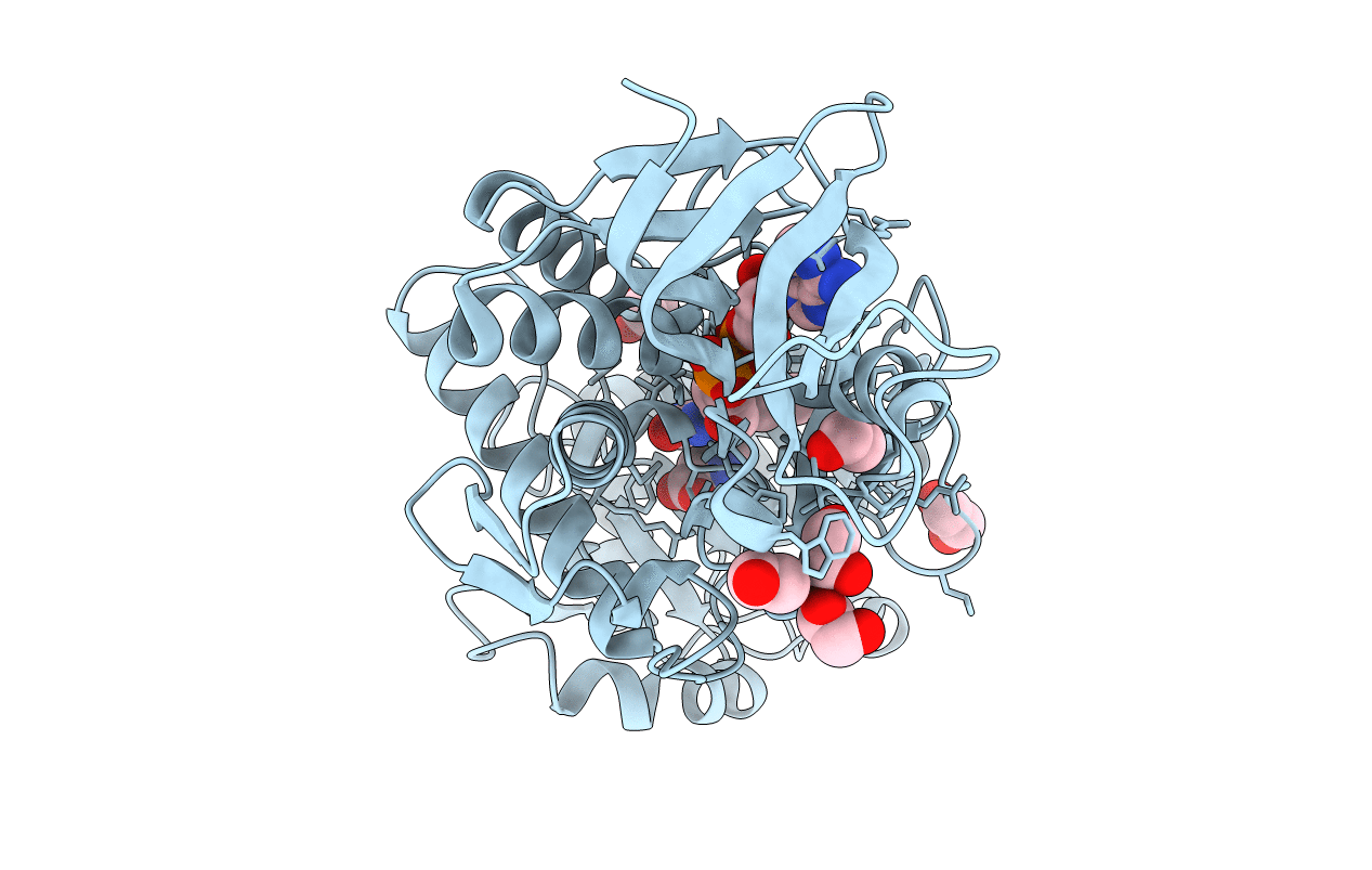 3AXB image