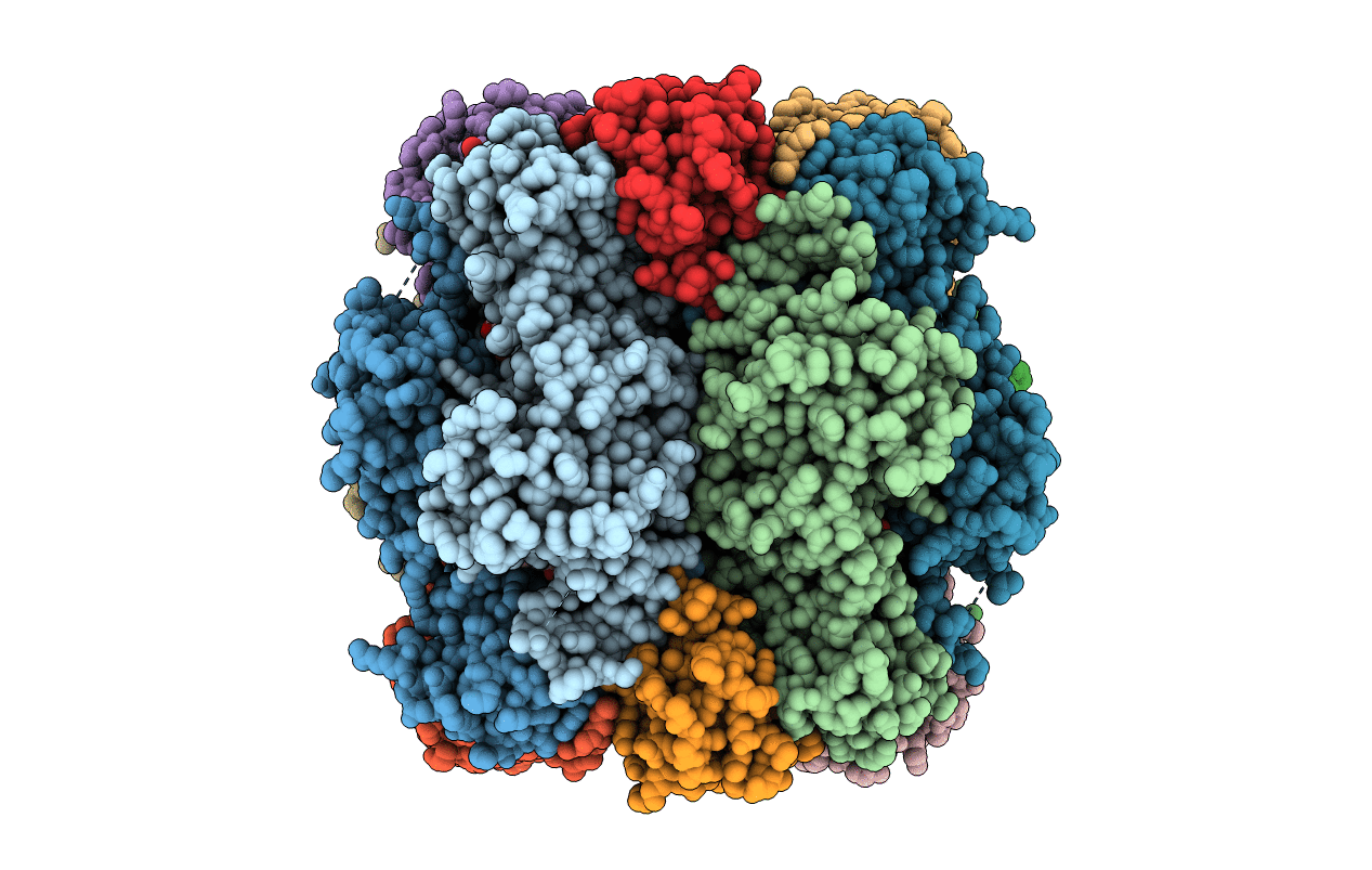 3AXM image