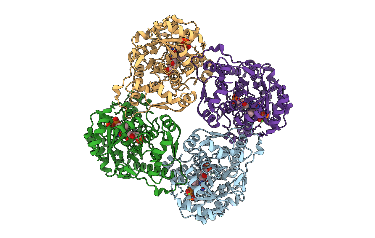 3B03 image