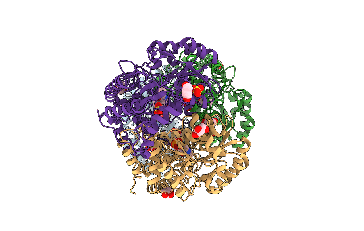 3B1C image