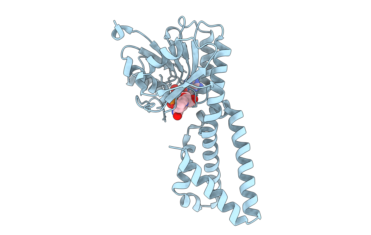 3B1F image
