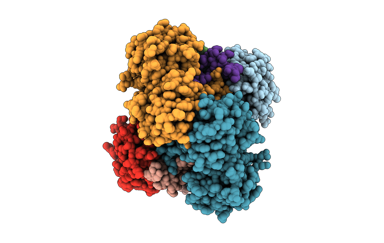 3B1K image
