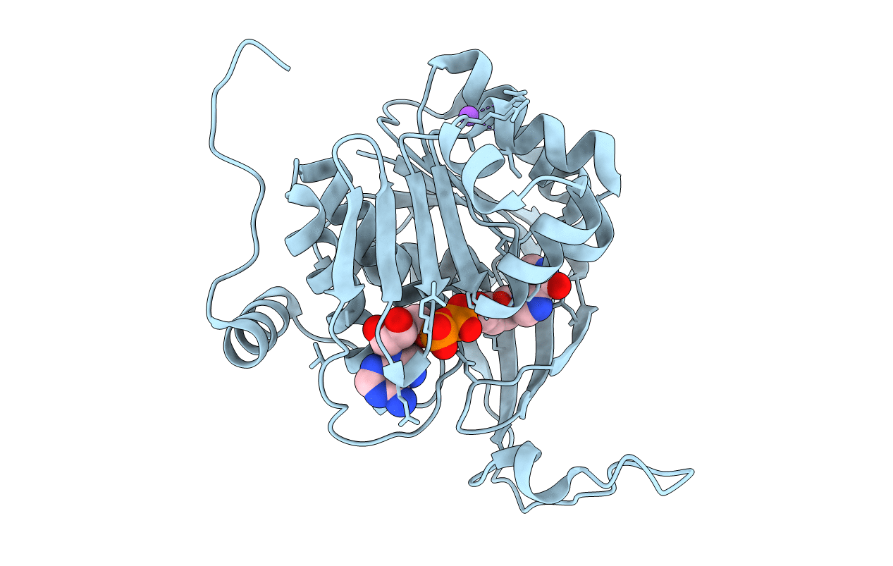 3B1P image