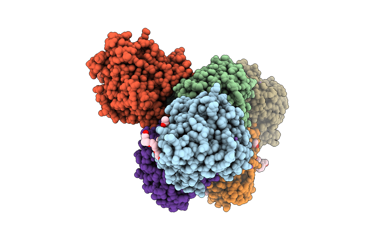 3B1Q image