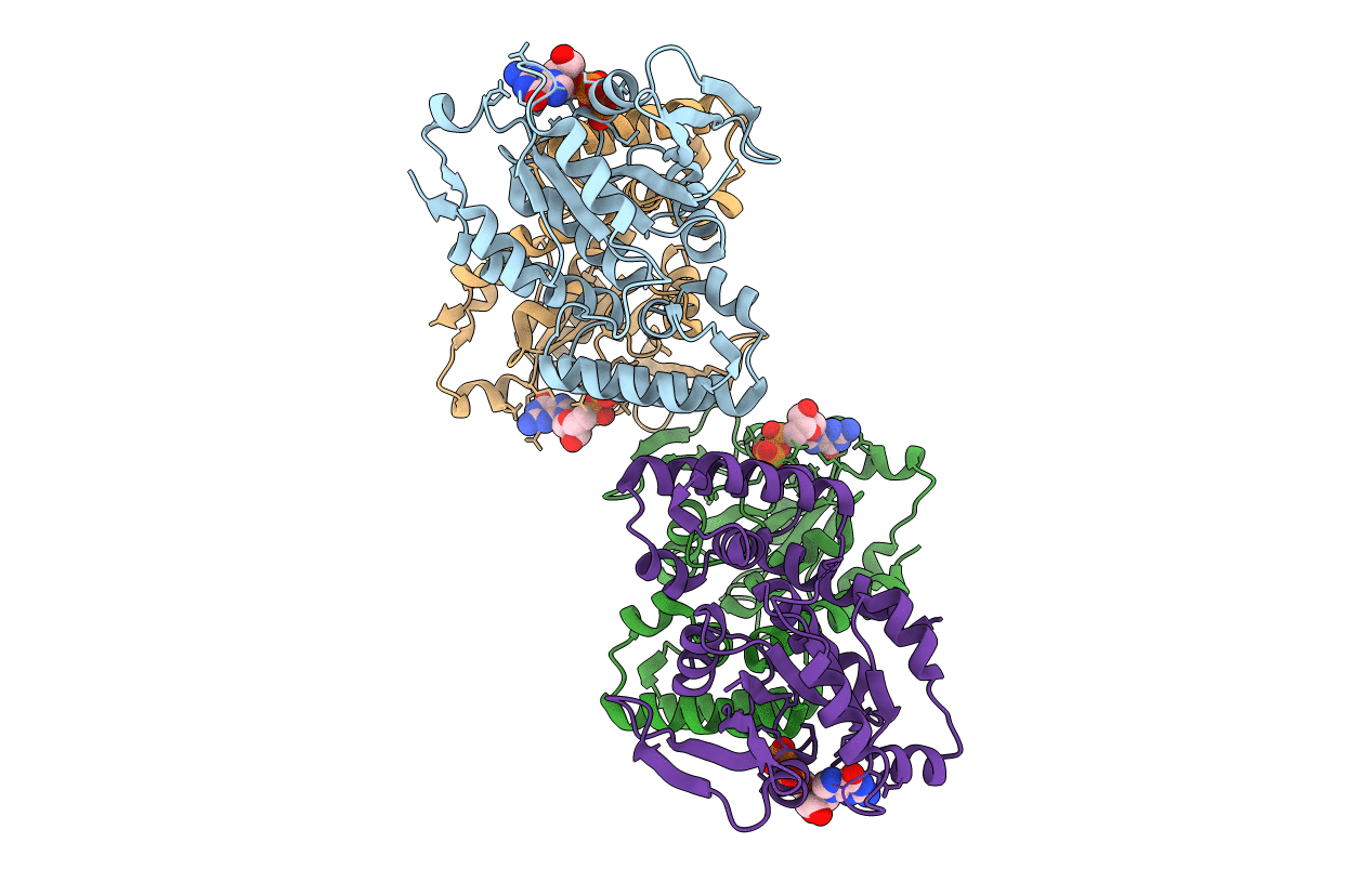 3B1W image