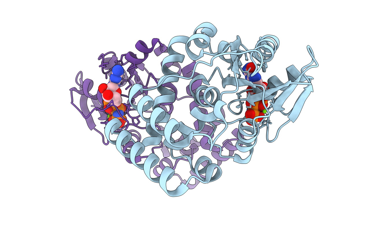 3B1X image