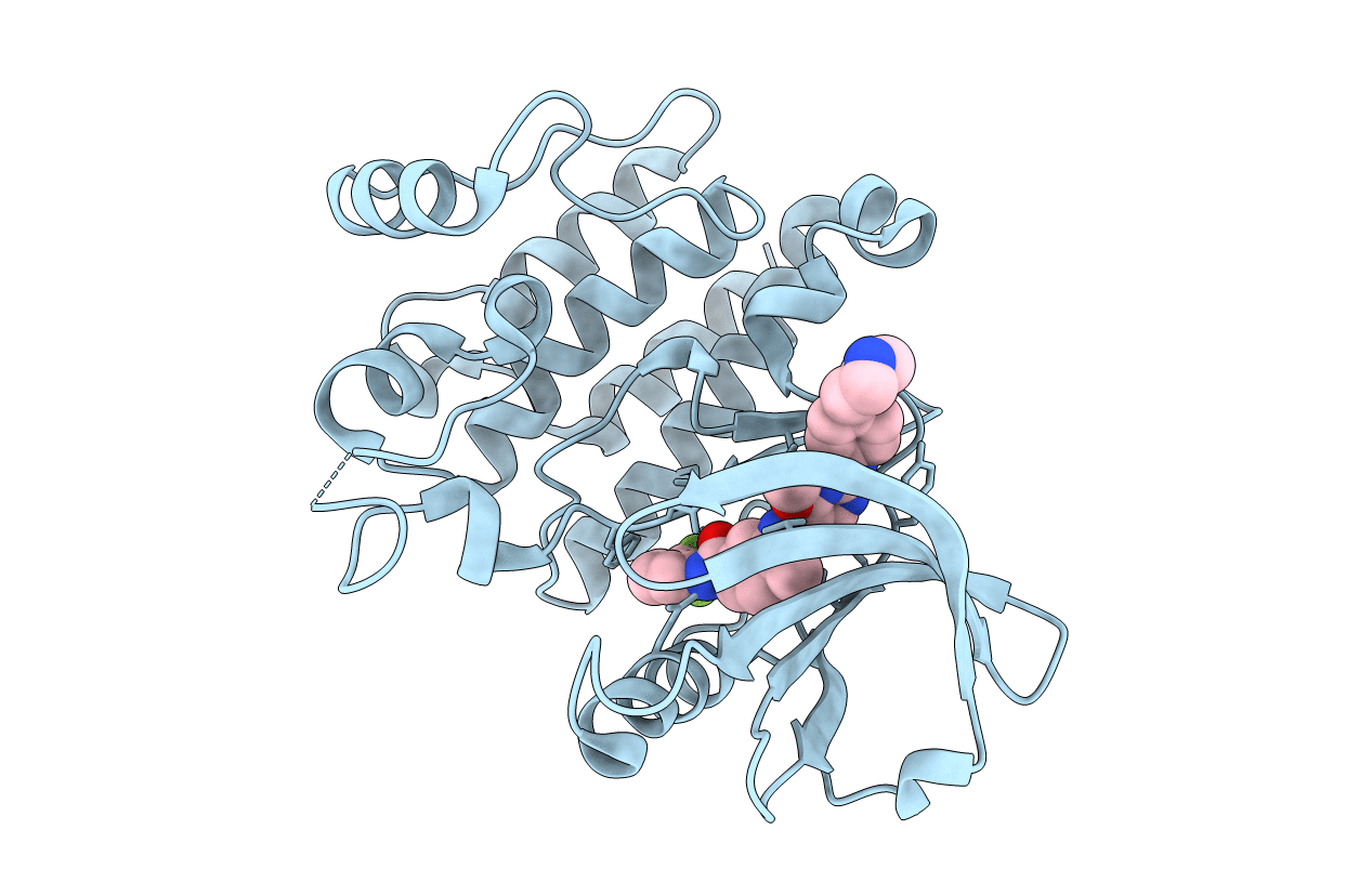 3B2W image