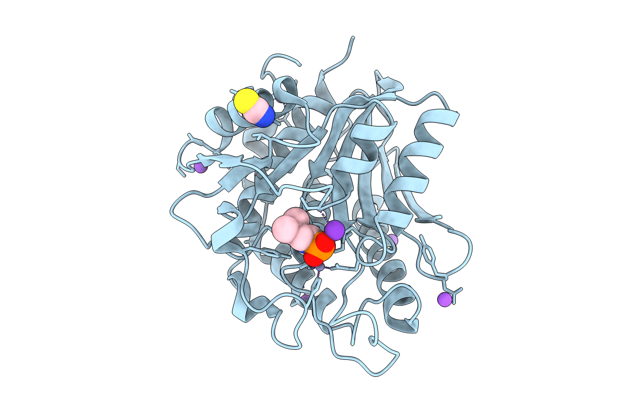 3B3C image