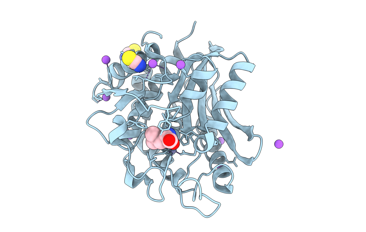 3B3S image
