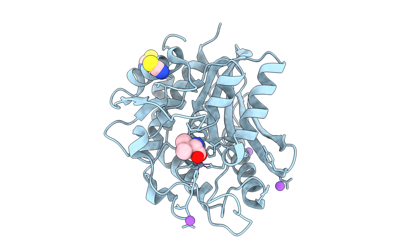 3B3V image