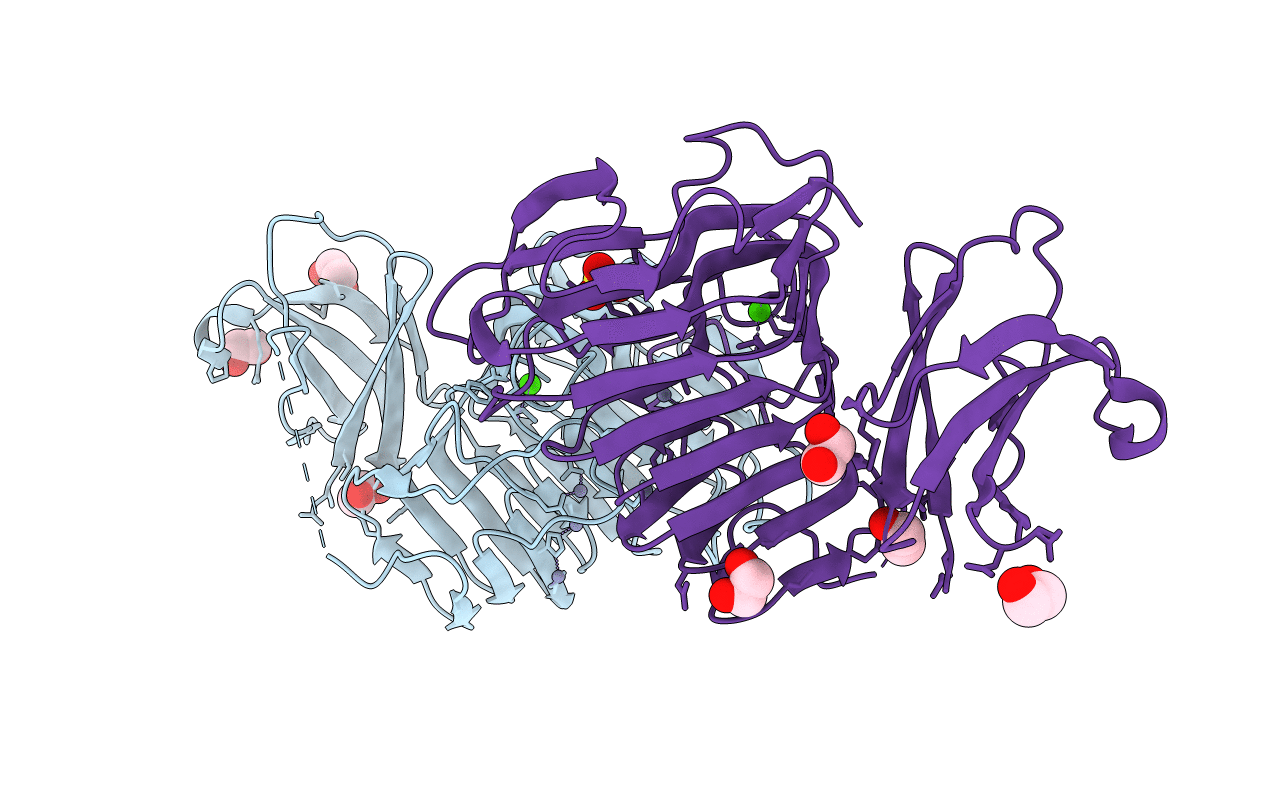 3B4N image