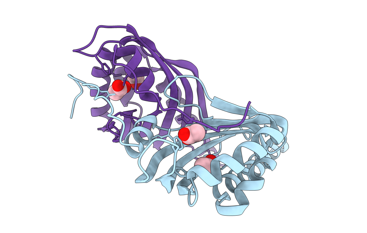 3B4O image