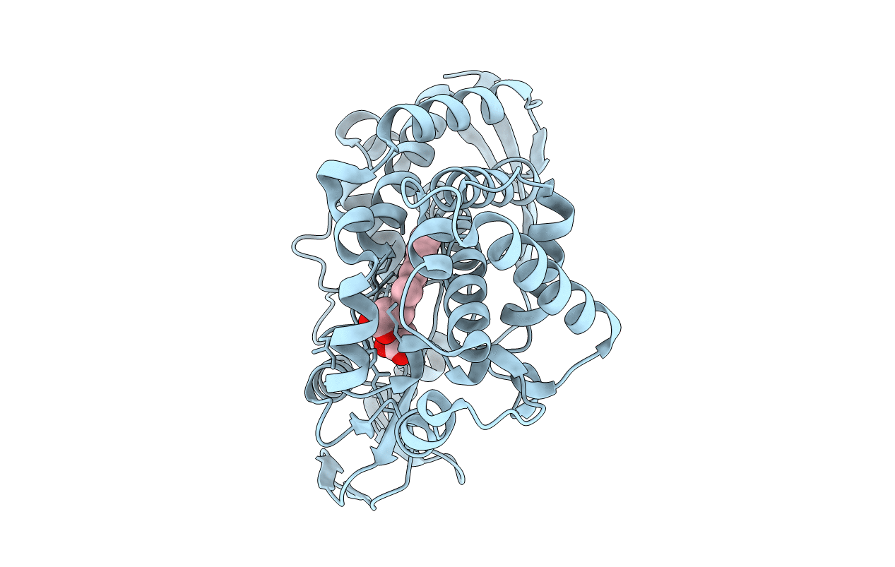 3B4X image