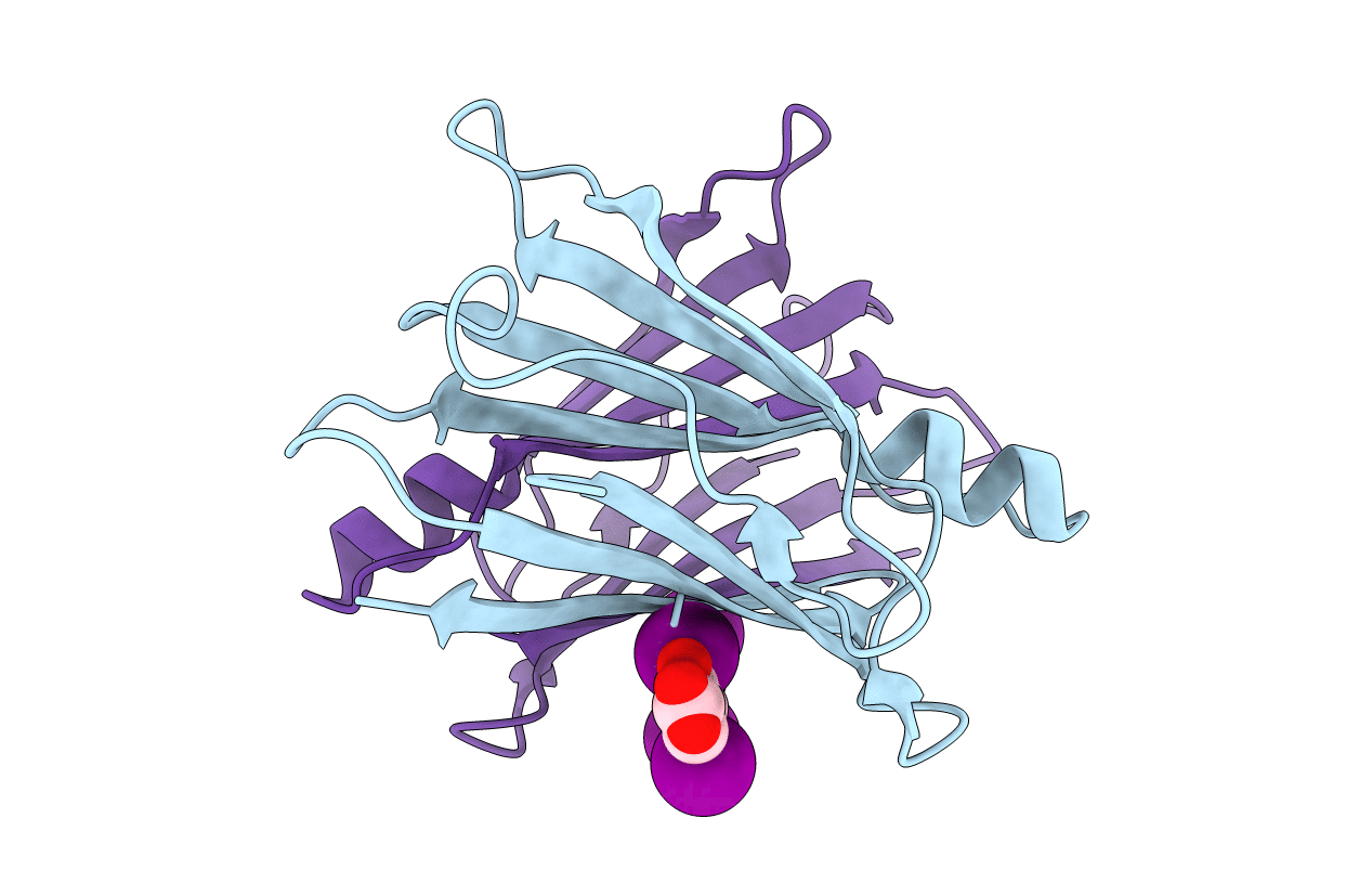 3B56 image