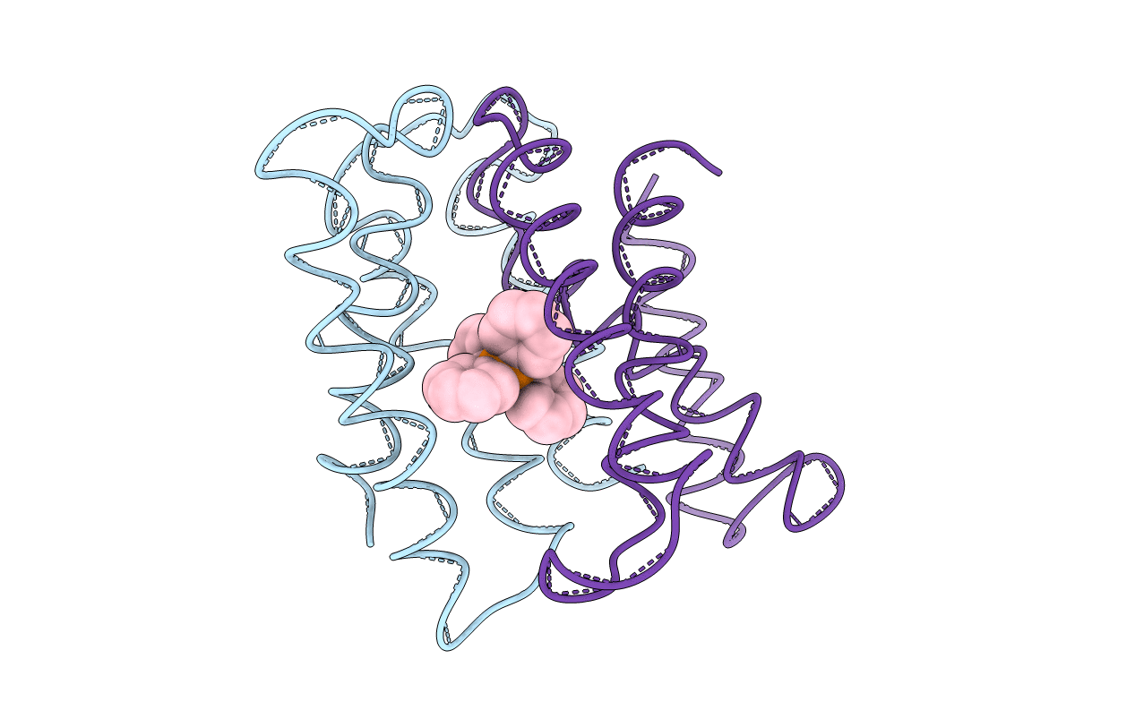 3B5D image