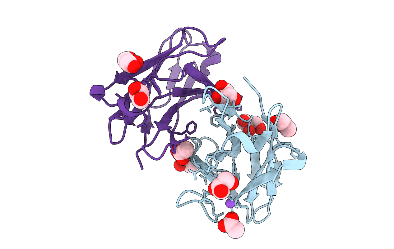 3B5G image
