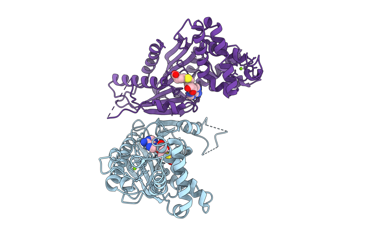 3B5I image