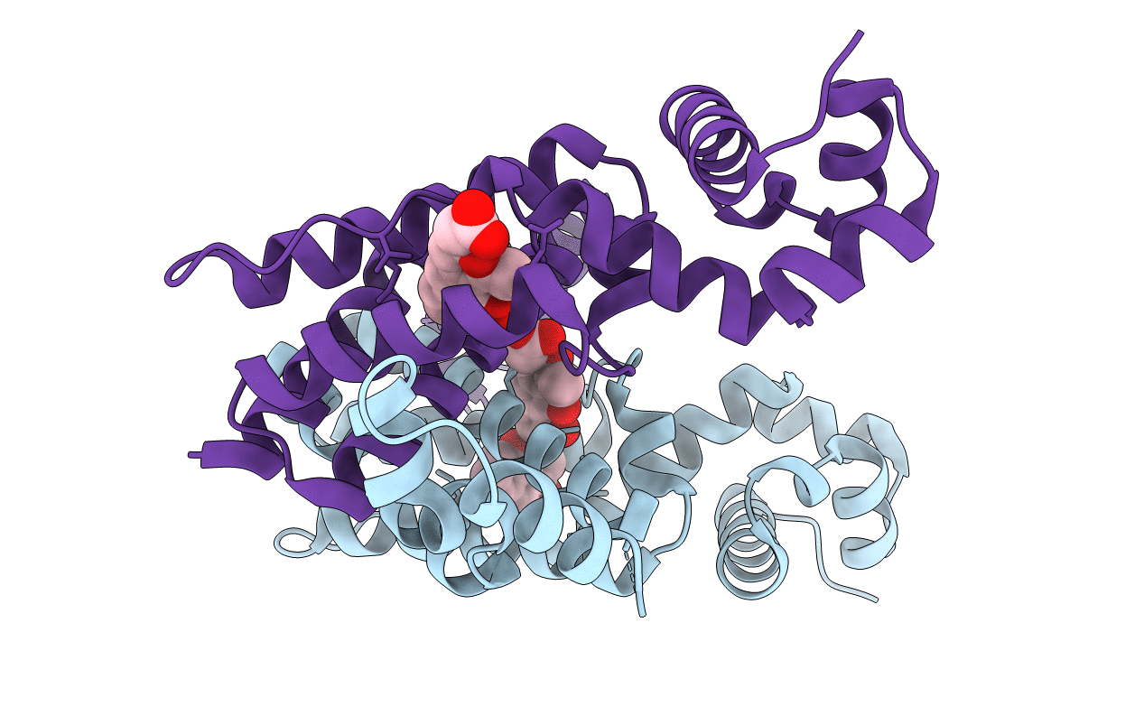 3B6C image