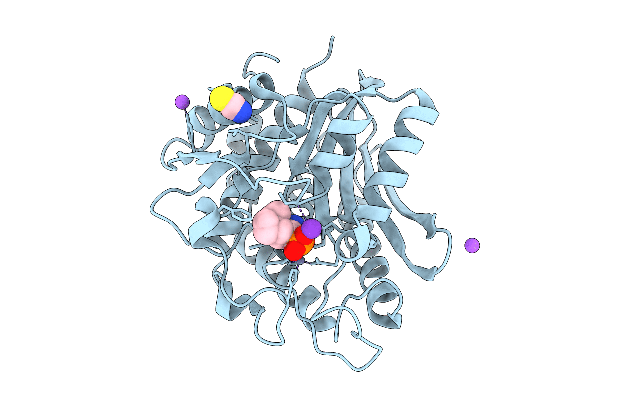 3B7I image
