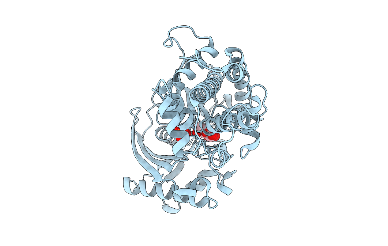 3B8A image