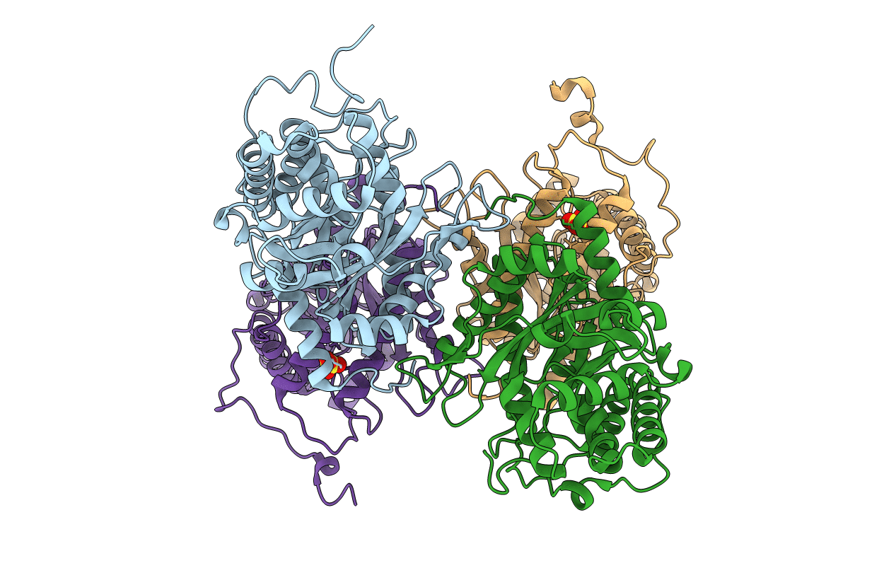 3B8D image