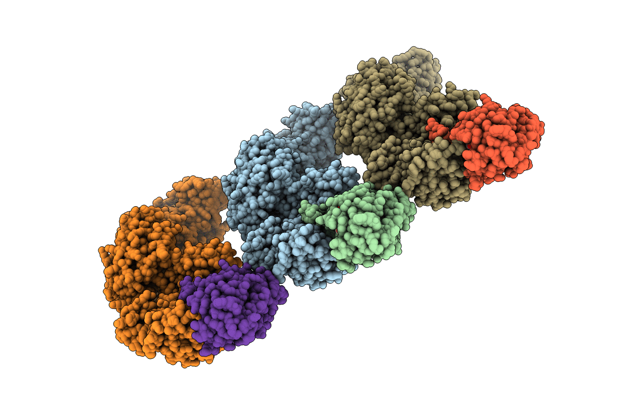 3B8H image