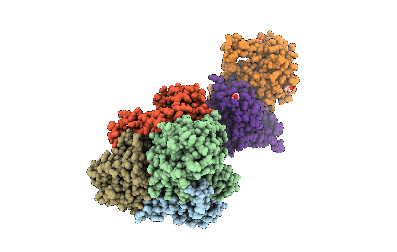 3B8I image