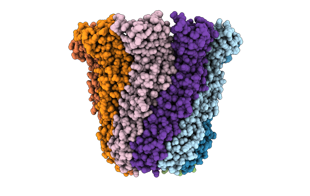 3B8N image