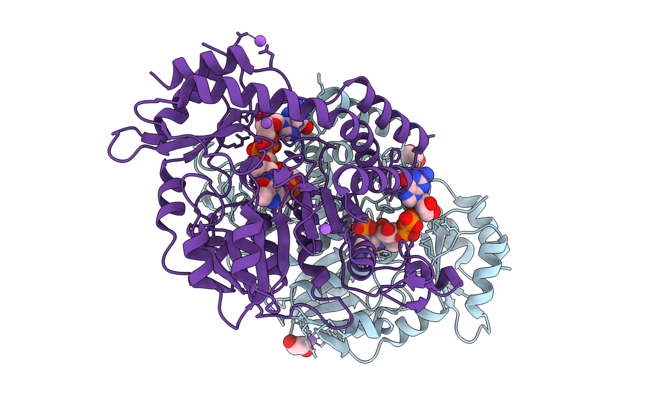 3B8X image