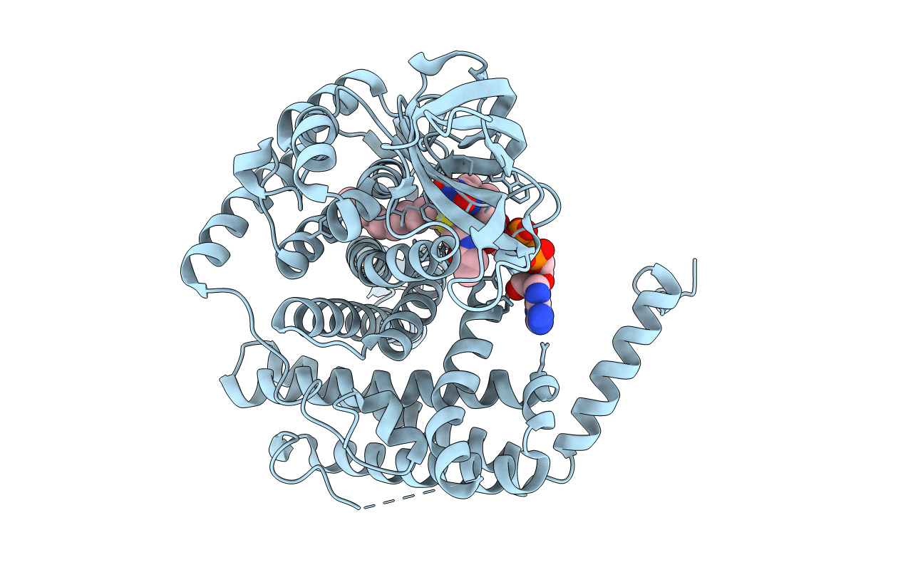 3B96 image