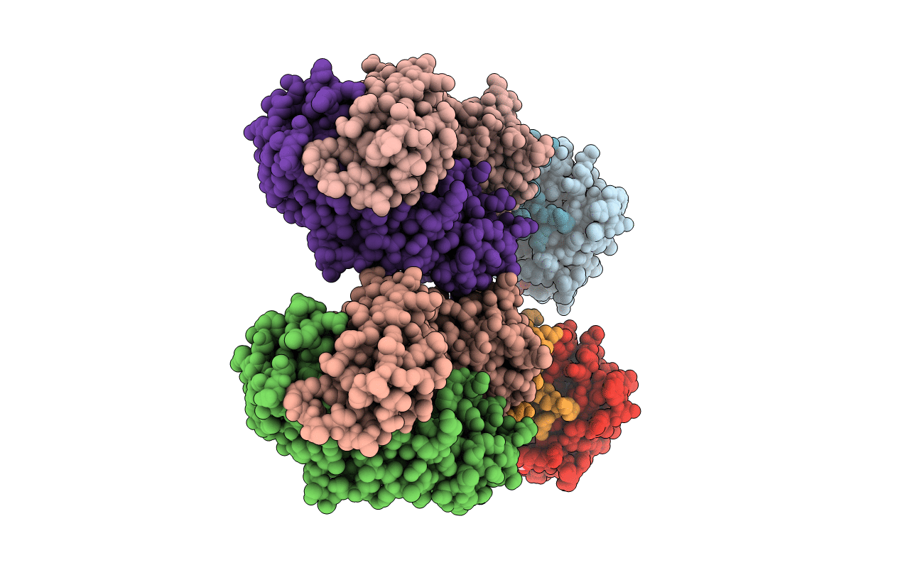 3B9K image