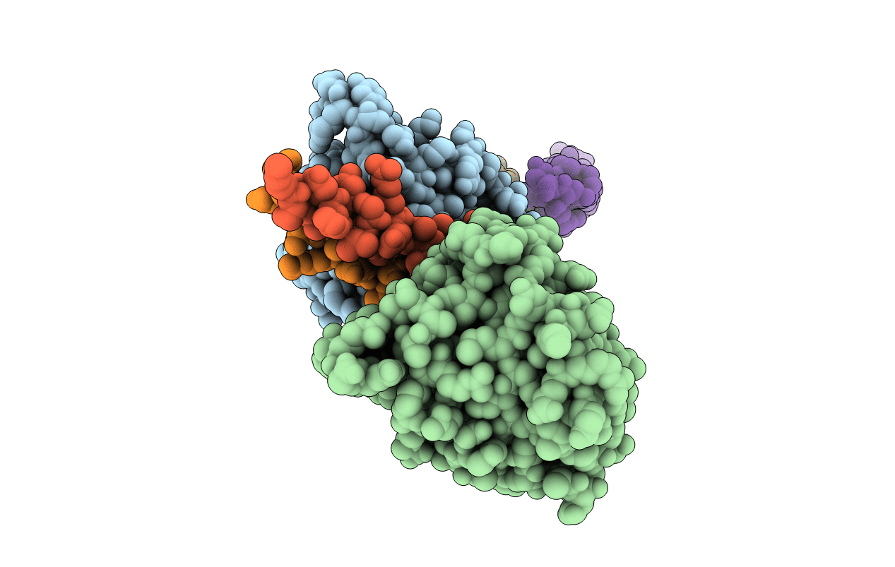 3BBP image