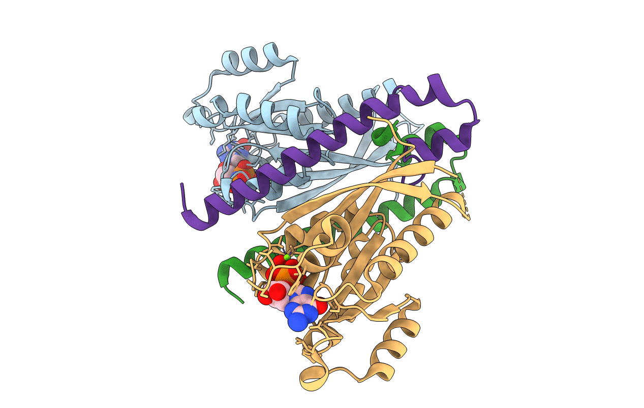 3BC1 image