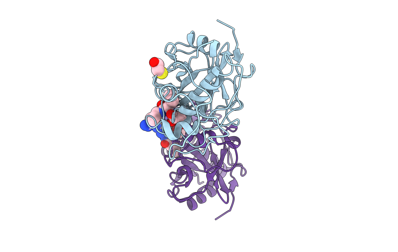 3BCN image