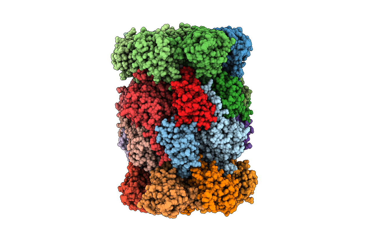 3BDM image