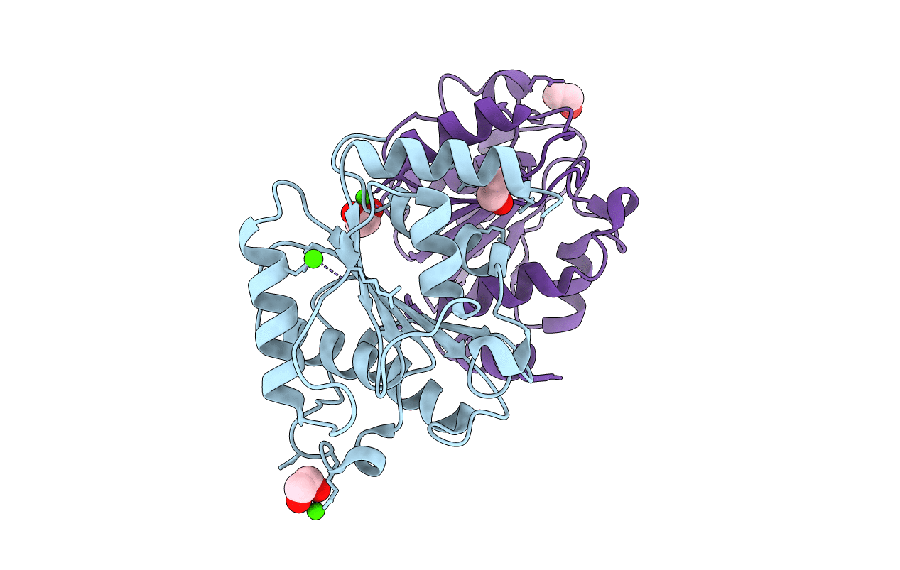 3BDV image