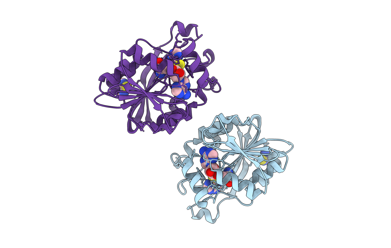 3BGD image