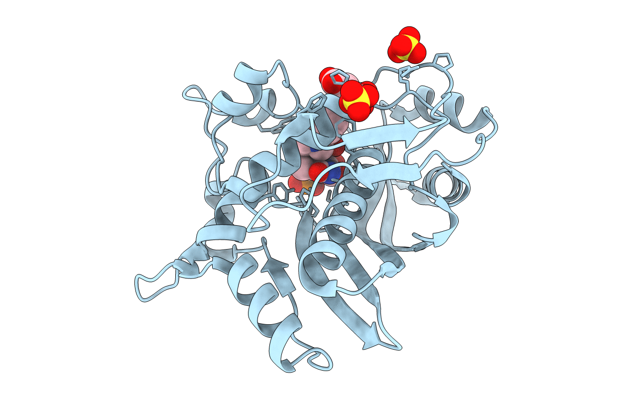 3BGX image