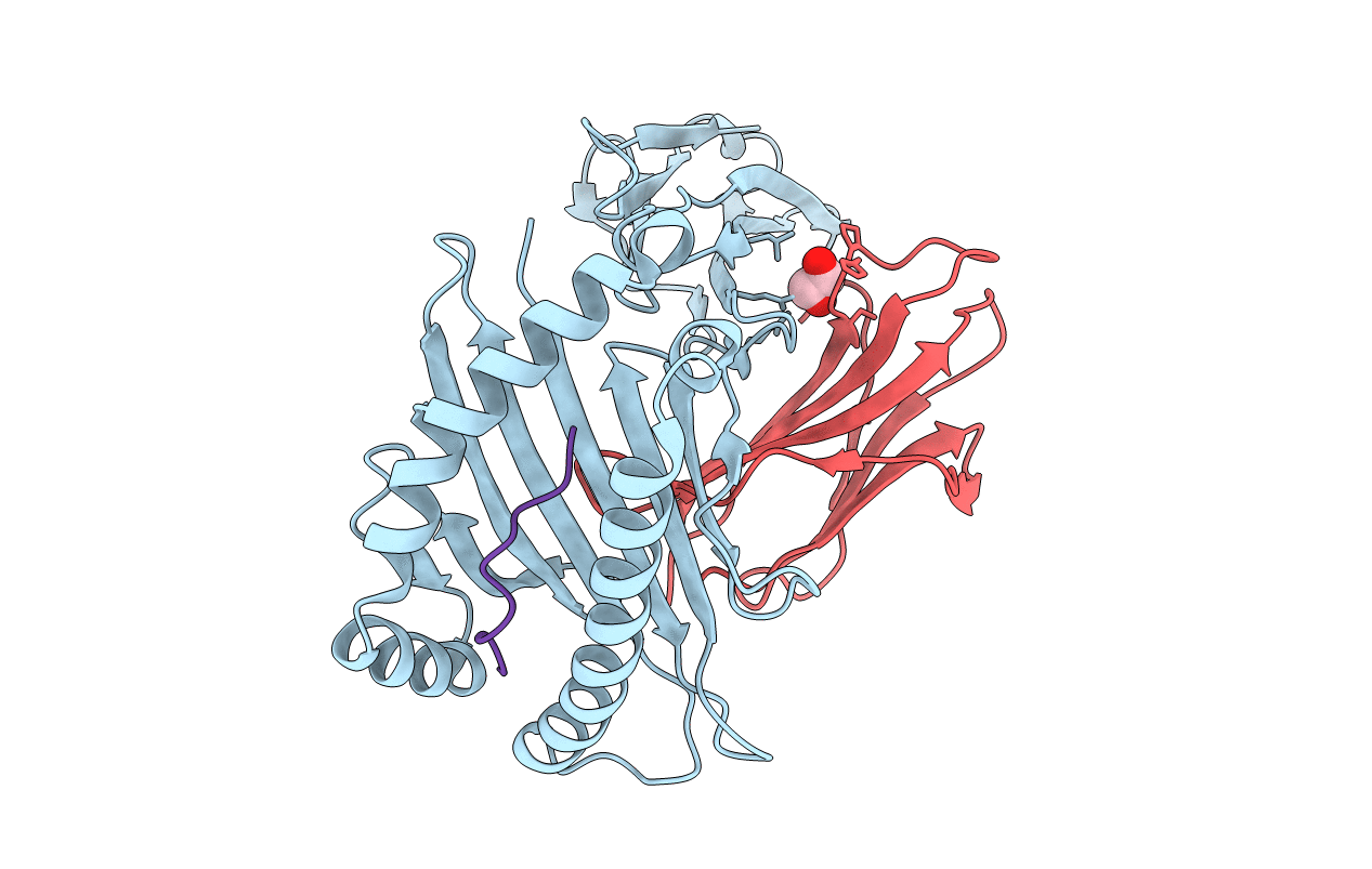3BHB image
