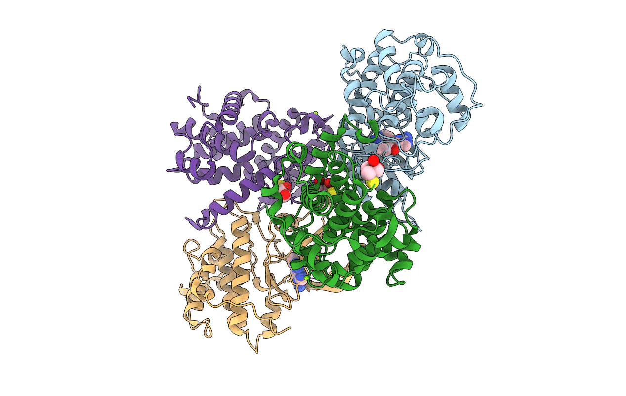 3BHV image