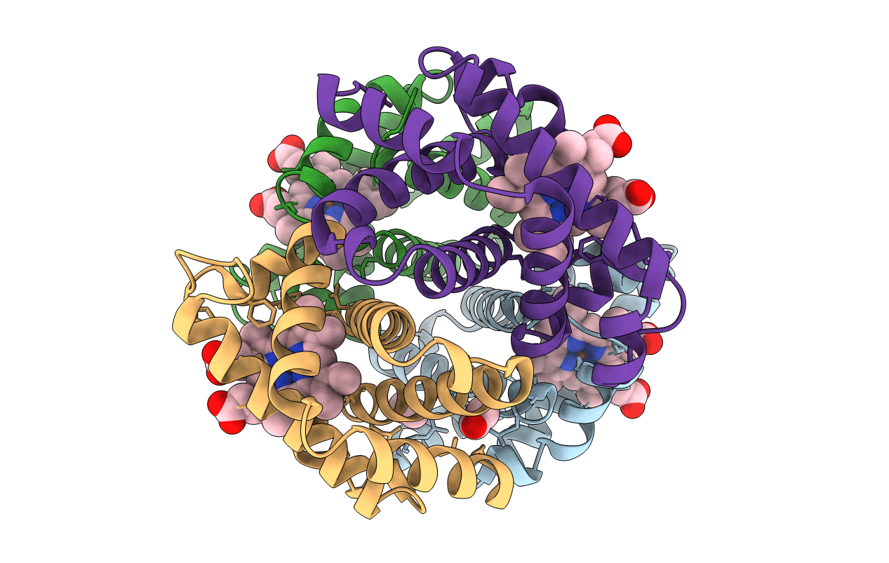 3BJ2 image