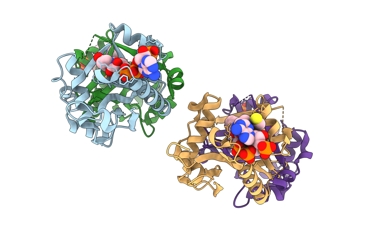 3BJ8 image