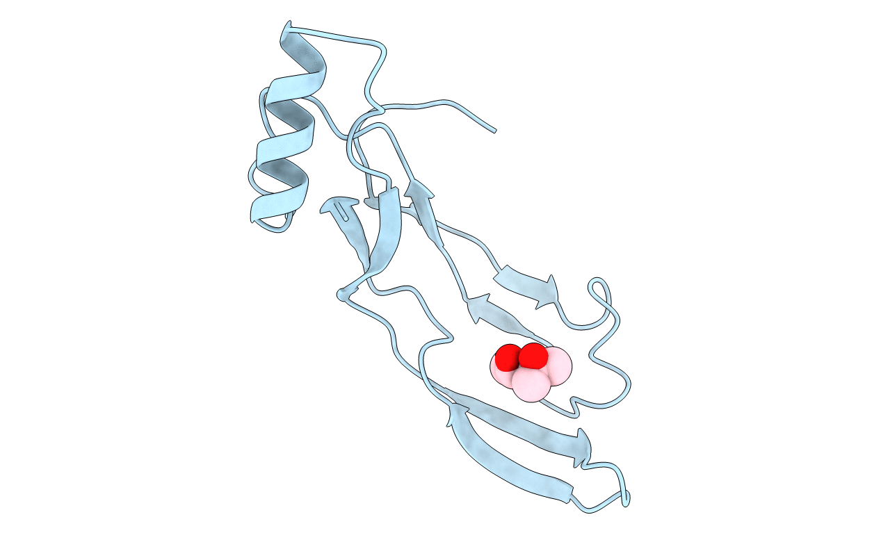 3BMP image