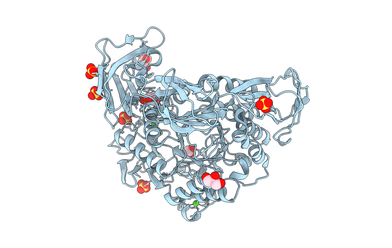 3BMV image