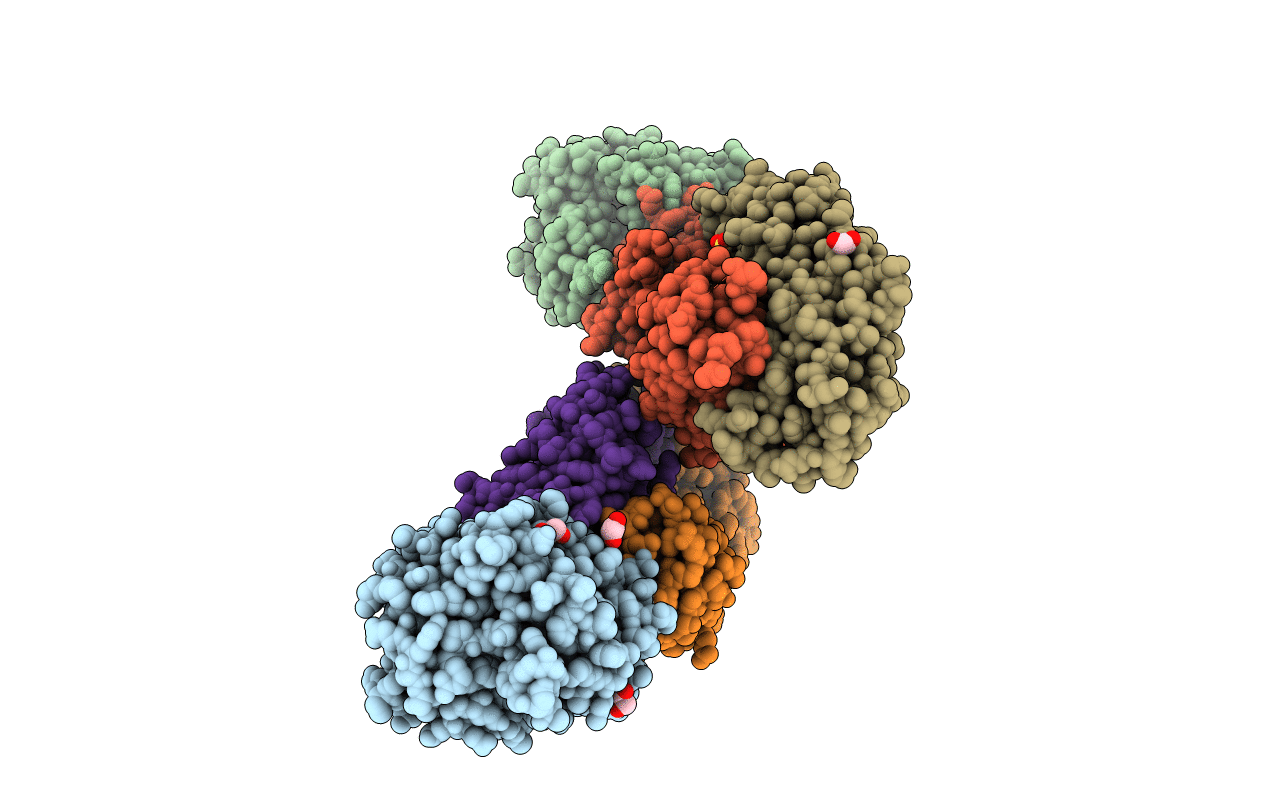 3BN9 image