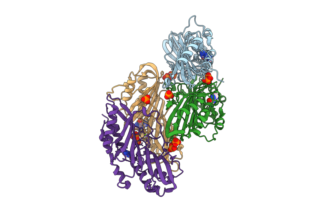 3BP1 image
